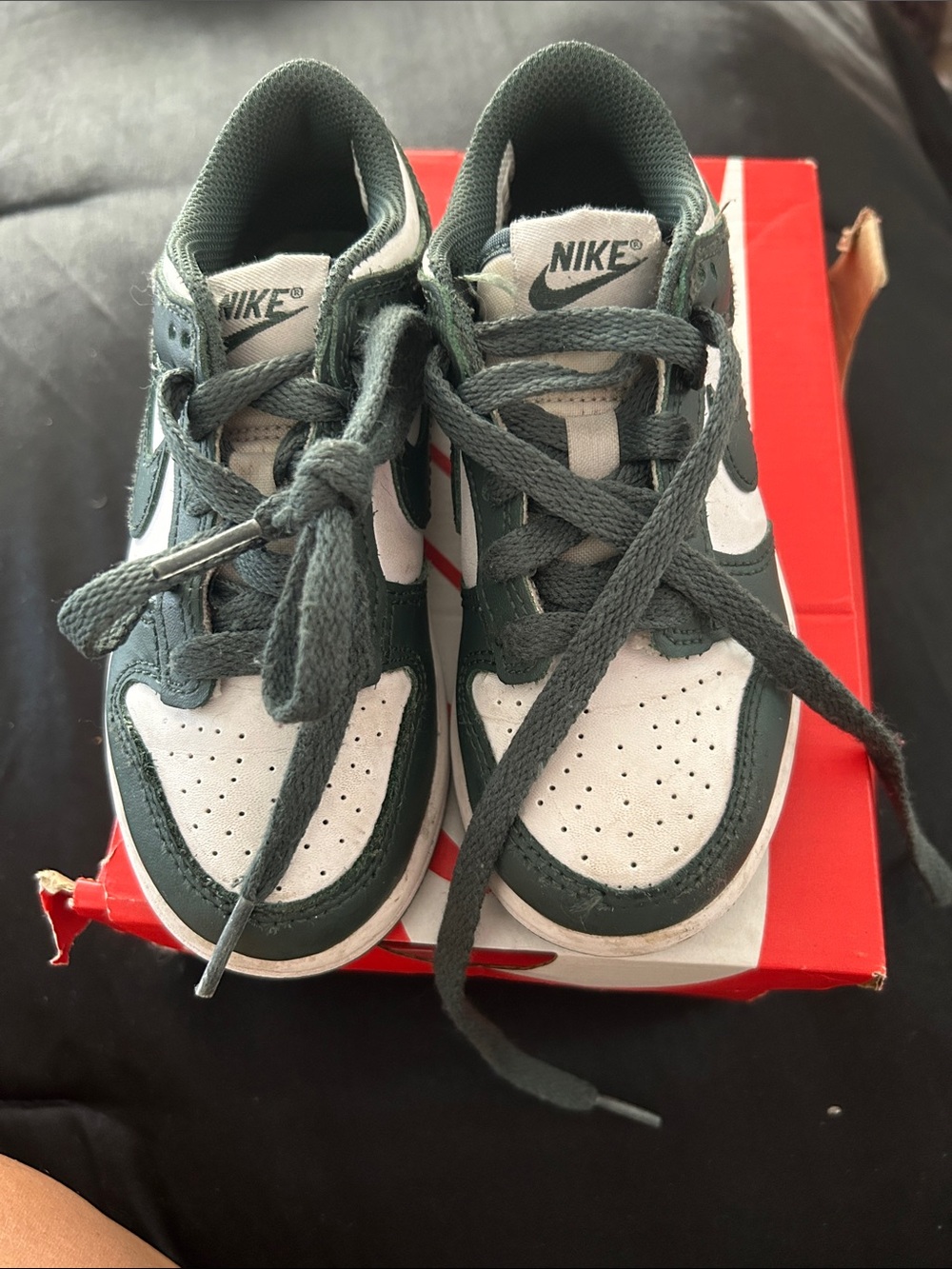 Nike Kids Dunk Sneakers in Forest Green and White